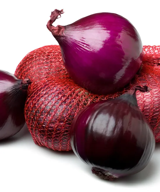 Red Onion Pack of 6, Pack of 6