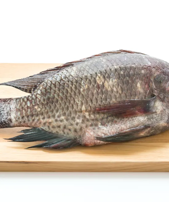 Whole Tilapia descaled & gutted 8/10 6kg, 6kg