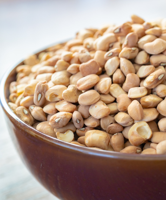 Brown beans Olo2- 1.5kg, Olo2- 1.5kg
