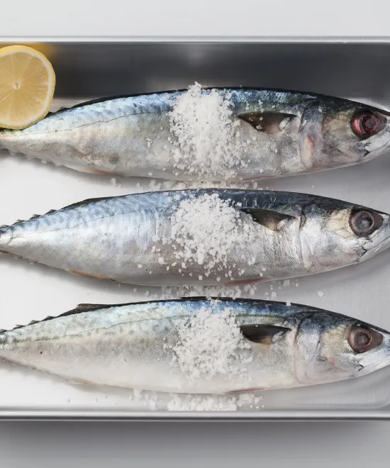 Mackerel Titus Whole 5kg, 5kg