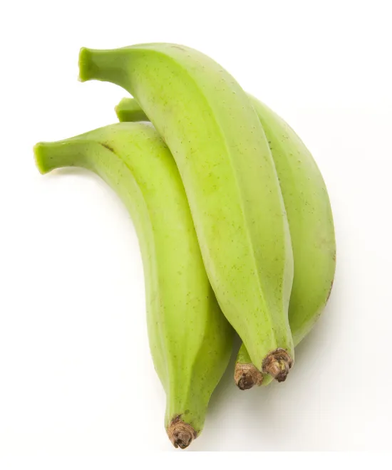 Unripe GREEN Plantain – Single, 1 item