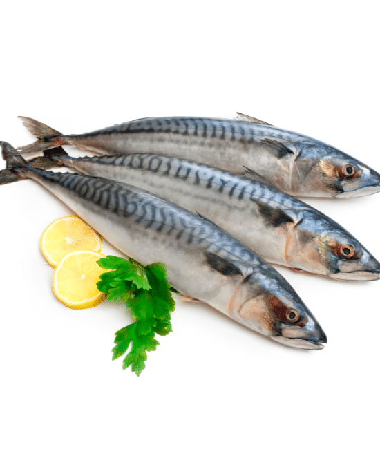 Whole Mackerel 2kg, 2kg