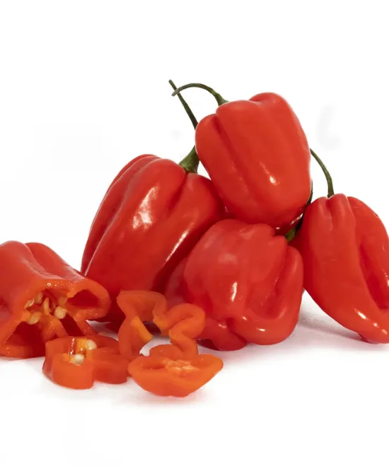 Ata Rodo / Scotch Bonnet / Hot Pepper – 300g, 300g