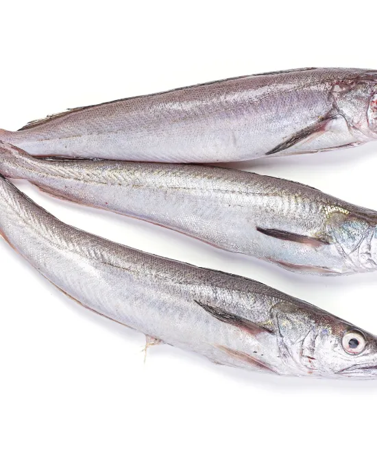 Frozen Hake – Whole Uncut 2.5kg, 2.5kg