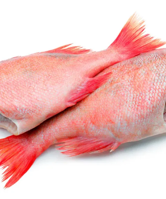 Frozen Red Bream – Cut 1kg, 1kg
