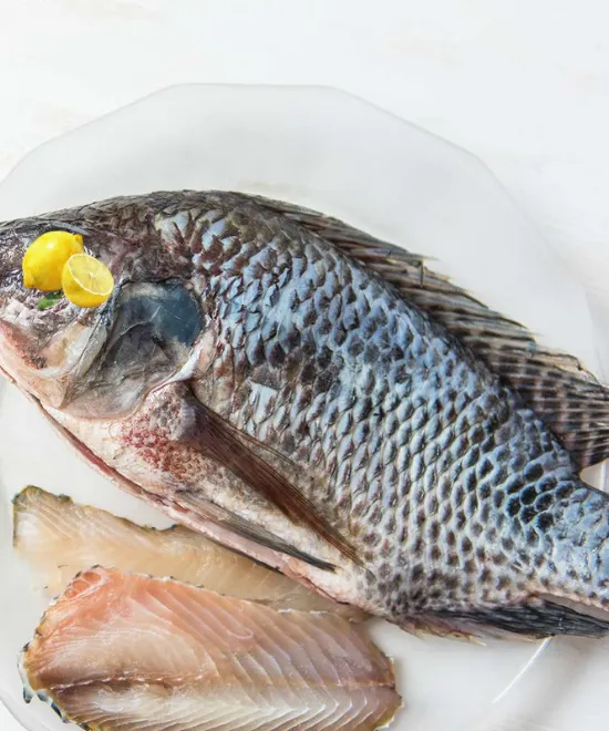 Tilapia Fish Steak FROZEN 1kg, 1kg