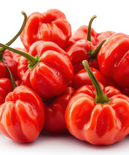 Scotch Bonnet Ata Rodo/Hot pepper – Half Box 1.8kg, 1.8kg