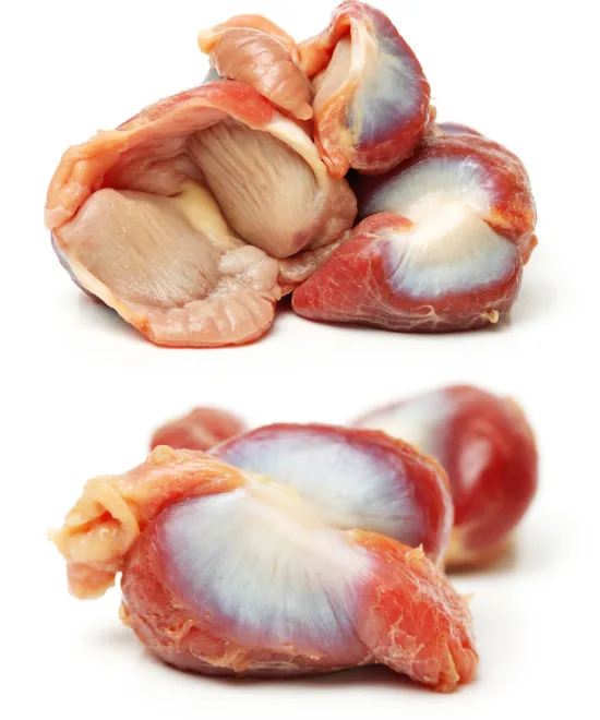 Turkey gizzards 1kg, 1kg