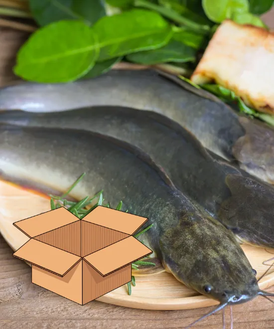 Whole Catfish Gutted 800 Box 5kg, 5kg