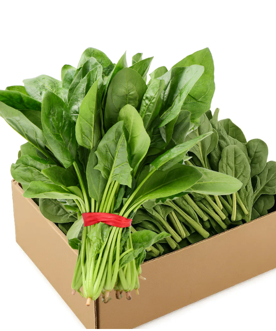 Fresh Spinach Box (x20*), Pack of 20
